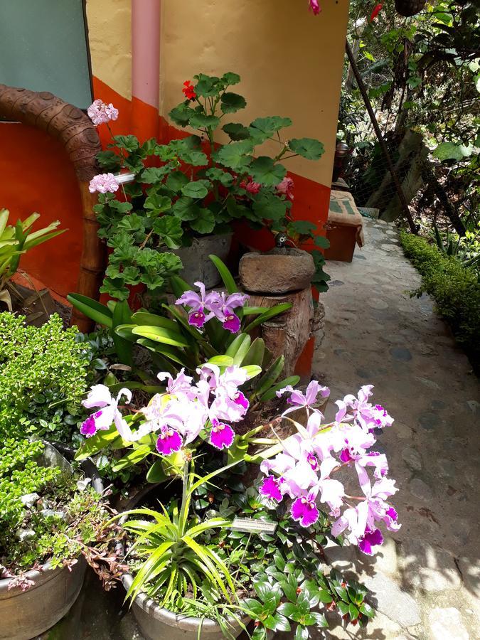Cabanas El Rincon Paisa Otel Jericoc  Dış mekan fotoğraf